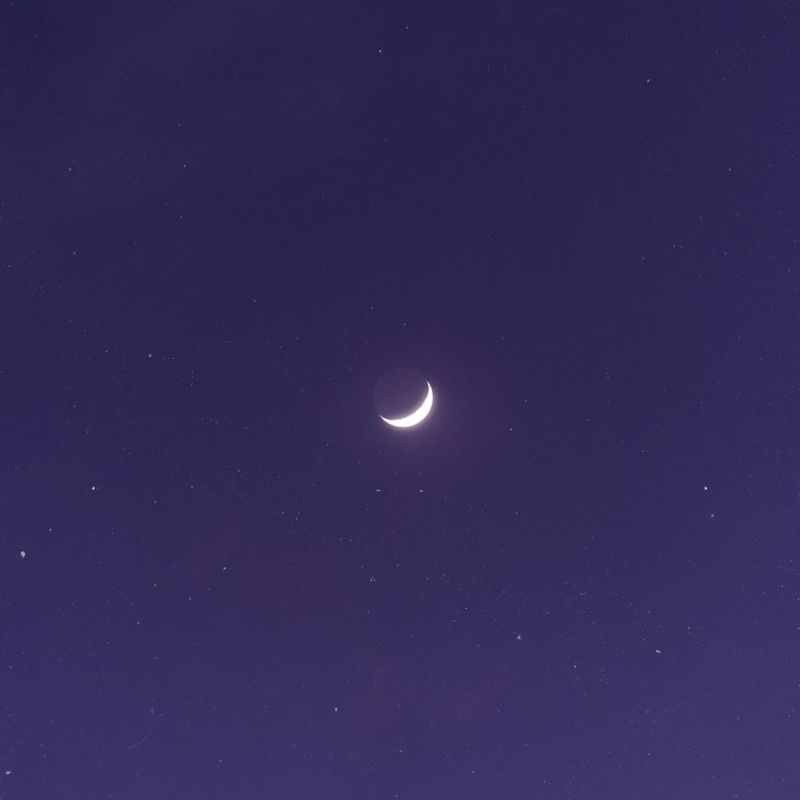 Insomnuit