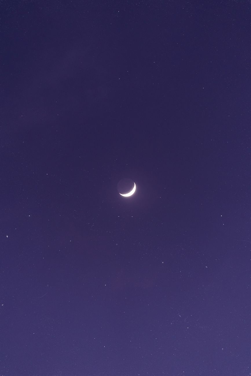Insomnuit